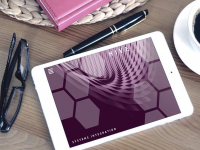 Serviço Social e Gestão de Projeto Sociais