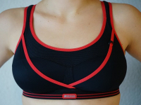 Mama Anatomia e Fisiologia