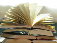 Literaturas de Língua Portuguesa lll