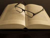 Teorias e práticas da psicopedagogia institucional