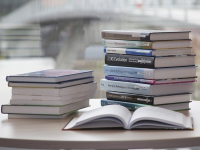 Educação e Currículo