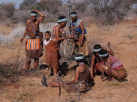 Patologias e Doenças dos Povos Indígenas