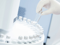 Fundamentos Imunológicos