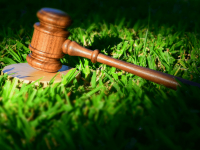 ADMINISTRAÇÃO DO PROCESSO LEGISLATIVO