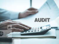 AUDITORIA CONTÁBIL OPERACIONAL E DE GESTÃO