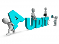 AUDITORIA DA QUALIDADE FORMAÇÃO DE AUDITORIA