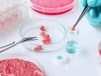 BIOQUÍMICA DE ALIMENTOS