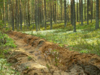 CERTIFICAÇÃO FLORESTAL