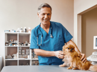 CUIDADOS CLÍNICOS EM PEQUENOS ANIMAIS