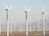 DECOMPOSIÇÃO EM SISTEMAS ECOLÓGICOS