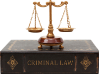 DIREITO PENAL ECONÔMICO E CRIMINALIDADE MODERNA