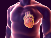 DISTÚRBIOS CARDIOVASCULARES E A HEMODINÂMICA DO PACIENTE CRÍTICO