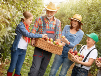 FUNDAMENTOS E METODOLOGIAS DO TRABALHO COM FAMÍLIA