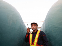 FUNDAMENTOS E METODOLOGIAS DO TRABALHO COMUNITÁRIO