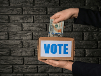 GARANTIAS CONSTITUCIONAIS E DIREITO ELEITORAL