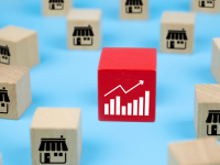 GESTÃO ESTRATÉGICA E ORGANIZACIONAL