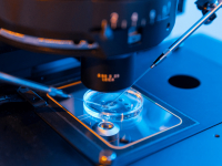 GESTÃO LABORATORIAL