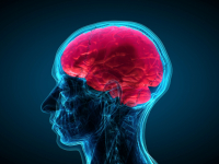 NEUROPSICOLOGIA E APRENDIZAGEM