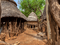 HISTÓRIA E CULTURA INDÍGENA E AFRO-BRASILEIRA