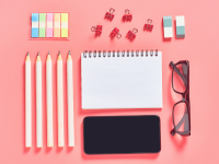 INTRODUÇÃO AOS ESTUDOS ACERCA DA SECRETARIA ESCOLAR