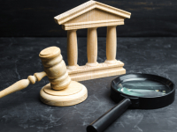 LEGISLAÇÃO ANTICORRUPÇÃO NO BRASIL E ANTECEDENTES INTERNACIONAIS