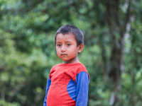 LEGISLAÇÃO ESCOLAR INDIGENA