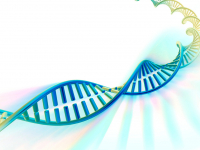 BASES BIOLÓGICAS E NUTRICIONAIS