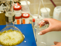 BIOQUÍMICA E BIODISPONIBILIDADE DE MICRONUTRIENTES