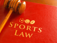 ORGANIZAÇÃO JURÍDICA DO ESPORTE