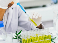 PROCESSOS INFLAMATÓRIOS E INFECCIOSOS ETIOLOGIA, FARMACOLOGIA E PROFILAXIA