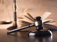 SISTEMA POLITICO E PROJETO DE LEI