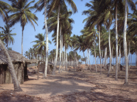 ÁREAS DE PRESERVAÇÃO PERMANENTE (APPs) E RESERVA LEGAL