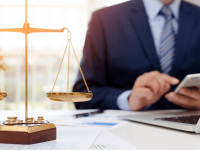 TEORIA GERAL DA CONSTITUIÇÃO