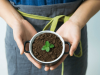 ÉTICA E VALORAÇÃO AMBIENTAL
