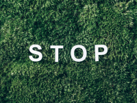 Crimes Contra o Meio Ambiente (Lei nº 9.605/1998)