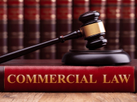 DIREITO COMERCIAL E SOCIETÁRIO