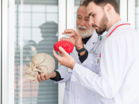 ESTIMULAÇÃO COGNITIVA E PLASTICIDADE