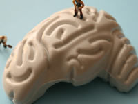 FUNÇÕES COGNITIVAS