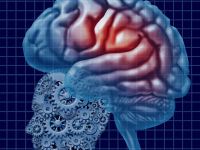 NEUROCIENCIA DA COGNIÇÃO E DA EMOÇÃO