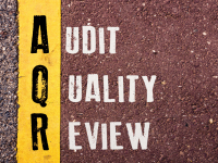 AUDITORIA DA QUALIDADE