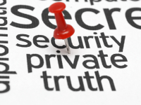 AS FORMAÇÕES NA SEGURANÇA PRIVADA