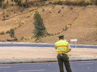 INTELIGÊNCIA EMOCIONAL NO TRABALHO DE SEGURANÇA
