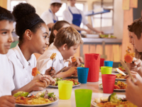 INTRODUÇÃO À NUTRIÇÃO NO AMBIENTE ESCOLAR