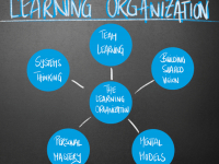 GESTÃO E ORGANIZAÇÃO