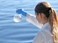 FISCALIZAÇÃO, PERÍCIA E AUDITORIA AMBIENTAL