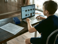 EDUCAÇÃO A DISTÂNCIA, REDE DE APRENDIZAGEM COLABORATIVA NO ENSINO SUPERIOR E TUTORIAL VIRTUAL