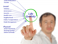 ORGANIZAÇÃO DO TRABALHO E QUALIDADE DE VIDA