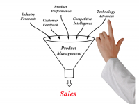 DESENVOLVIMENTO DE ESTRATÉGIAS E GERENCIAMENTO DE PRODUTOS