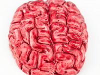 DEFICIÊNCIA VISUAL E PLASTICIDADE CEREBRAL