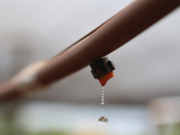 AGROECOLOGIA - INTRODUÇÃO